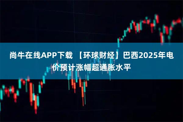 尚牛在线APP下载 【环球财经】巴西2025年电价预计涨幅超通胀水平
