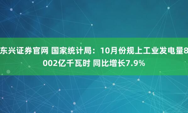 东兴证券官网 国家统计局：10月份规上工业发电量8002亿千瓦时 同比增长7.9%
