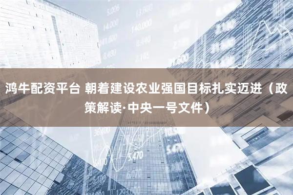 鸿牛配资平台 朝着建设农业强国目标扎实迈进（政策解读·中央一号文件）
